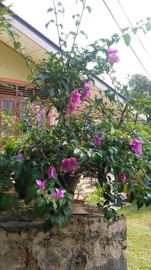 Holiday home Winsent Unawatuna